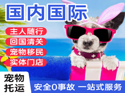 呼和浩特空运代理国际宠物托运 【国